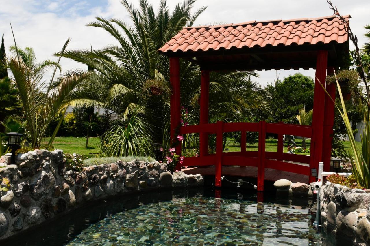 Hotel Palmas Teotihuacan San Juan Teotihuacán Dış mekan fotoğraf