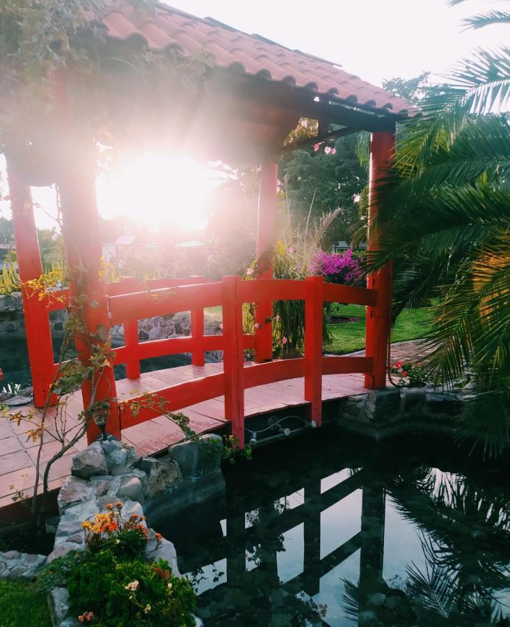 Hotel Palmas Teotihuacan San Juan Teotihuacán Dış mekan fotoğraf