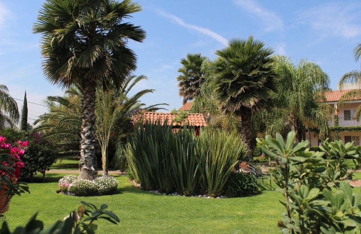 Hotel Palmas Teotihuacan San Juan Teotihuacán Dış mekan fotoğraf