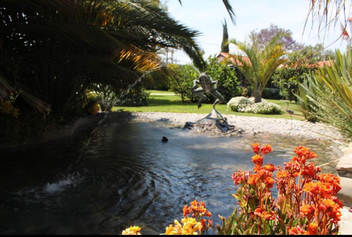 Hotel Palmas Teotihuacan San Juan Teotihuacán Dış mekan fotoğraf